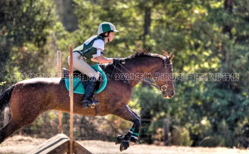 非凡游戏app官网进入美团全球体育盛事与竞技精神：2023年世界运动项目赛事排行榜