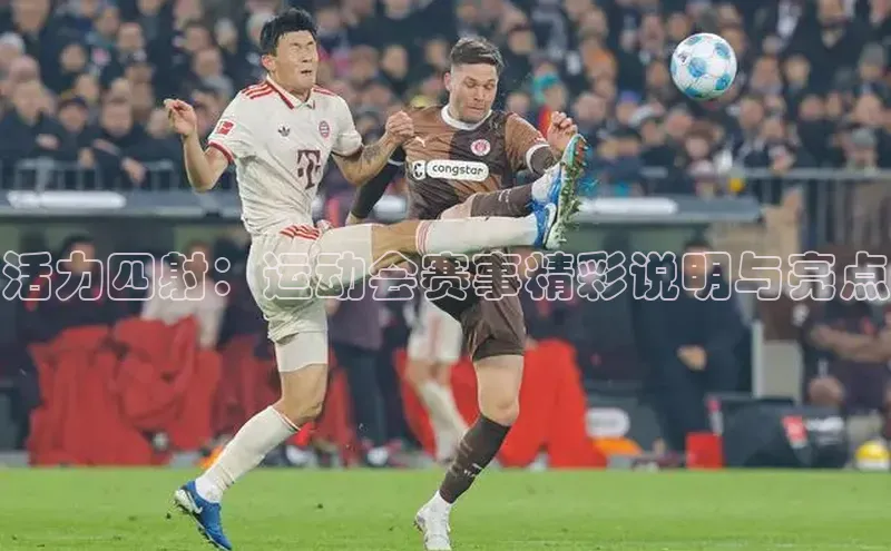 非凡棋牌华扬联众活力四射：运动会赛事精彩说明与亮点