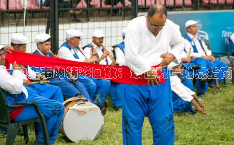 非凡娱乐百度营销中心