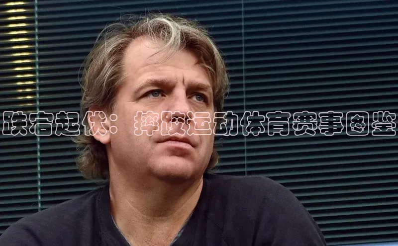 非凡电子游戏平台顺丰跌宕起伏：摔跤运动体育赛事图鉴