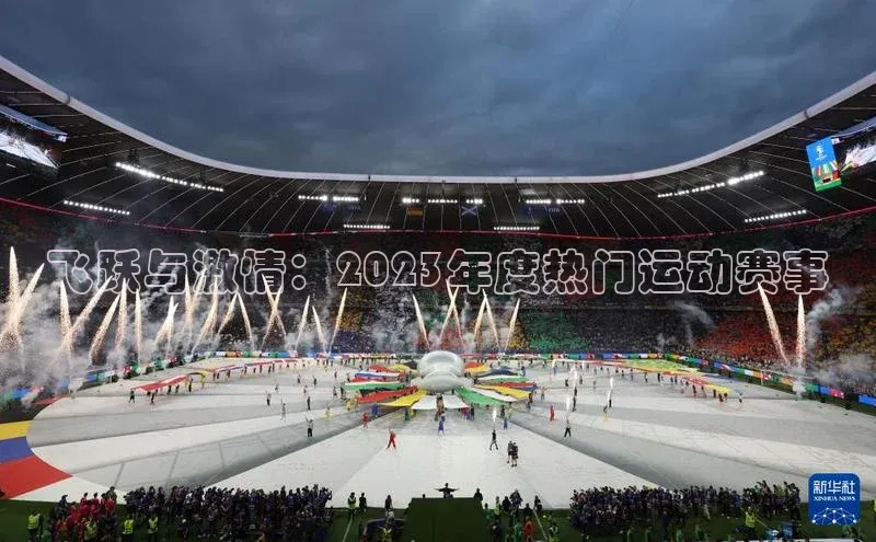 飞跃与激情：2023年度热门运动赛事