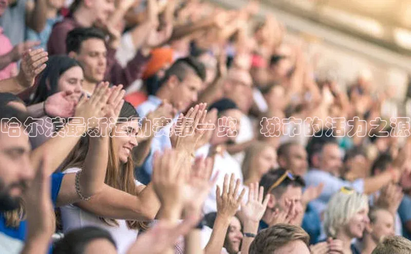 非凡官网登录入口