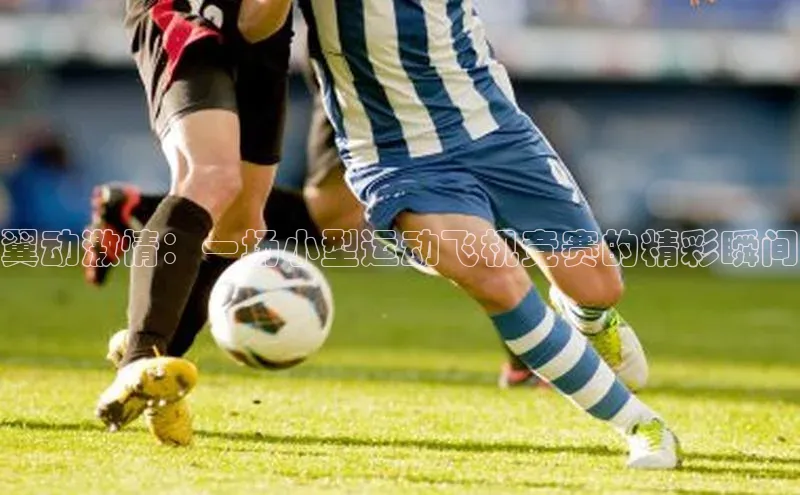 非凡体育平台登录入口